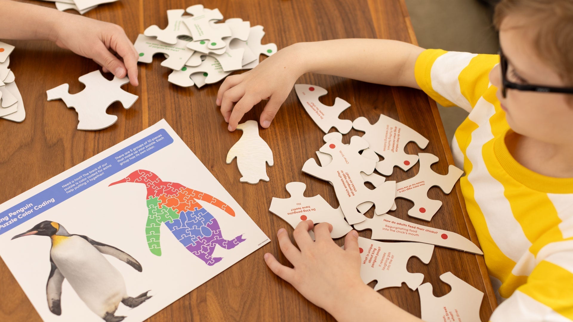 Child playing with Large as Life jigsaw puzzle, king penguin version