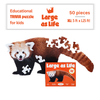 Red Panda Trivia Puzzle (50 Pieces)