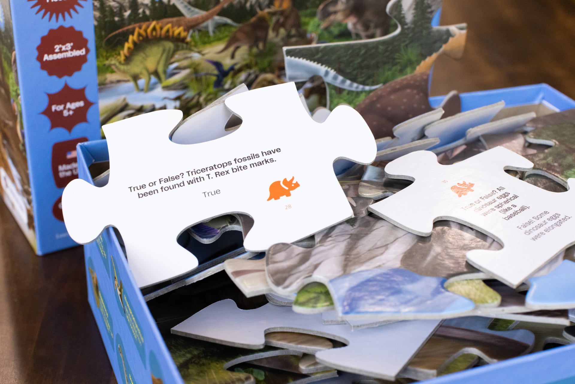 Dinosaur-themed puzzle with missing pieces and educational text on a wooden surface.