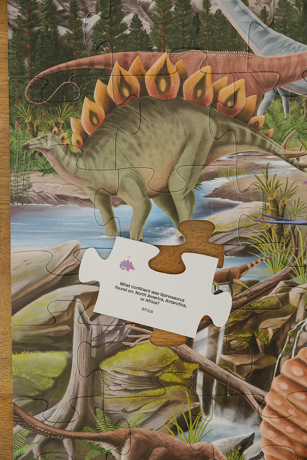 Dinosaur puzzle with a Stegosaurus in a natural setting plus a puzzle piece with dinosaur trivia on the back of it.