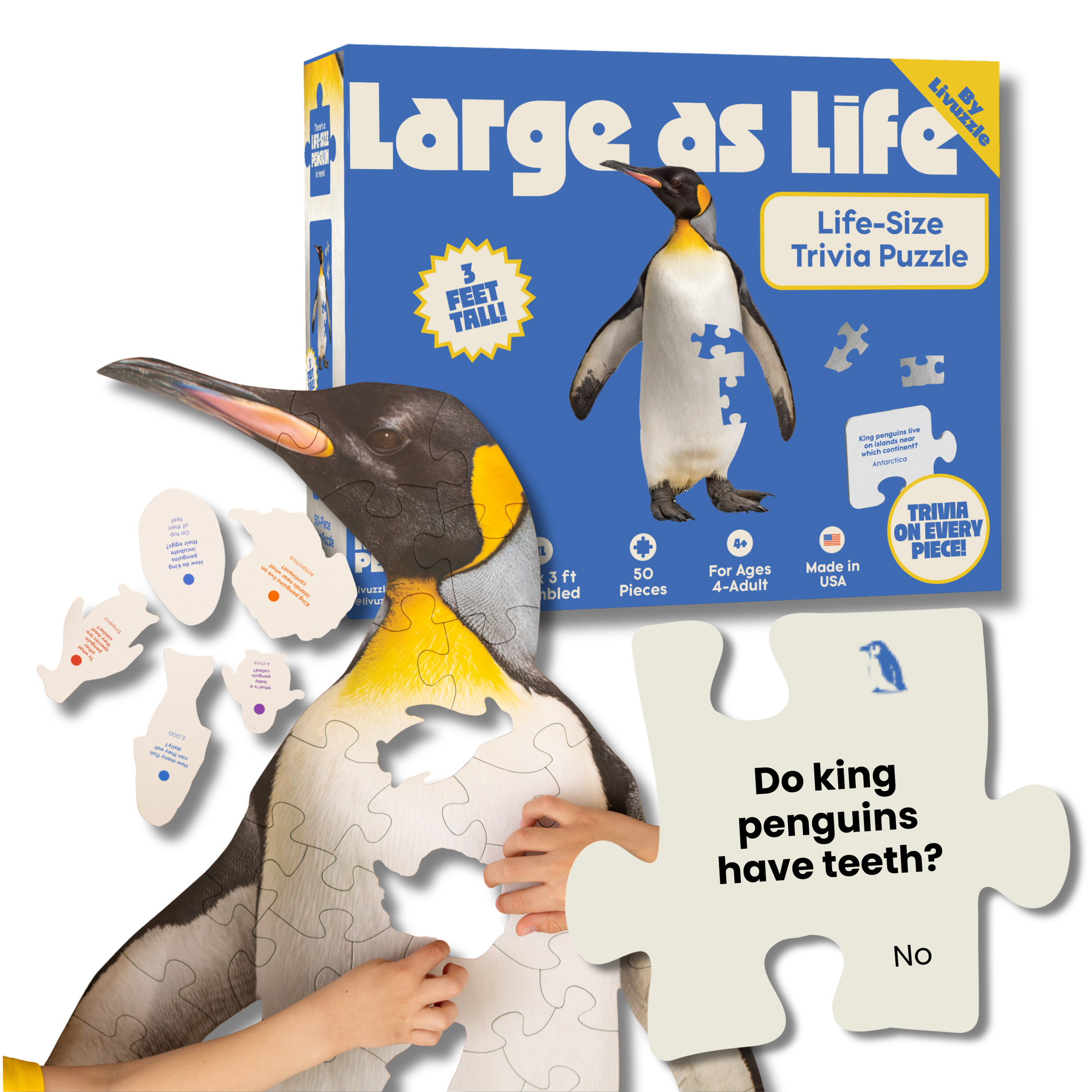Penguin-themed life-size trivia puzzle with packaging and pieces displayed.