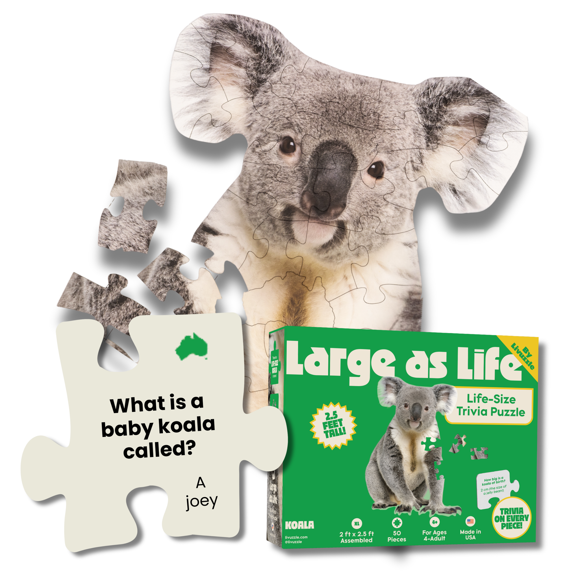 Jigsaw puzzle of a koala with a box labeled 'Large as Life' on a white background