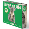 Koala Trivia Puzzle (50 Pieces)