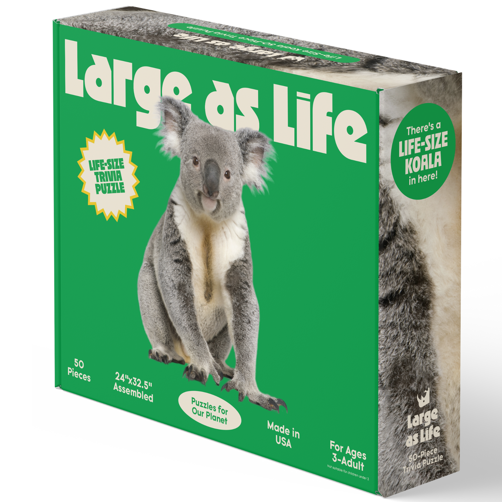 Koala Trivia Puzzle (50 Pieces)