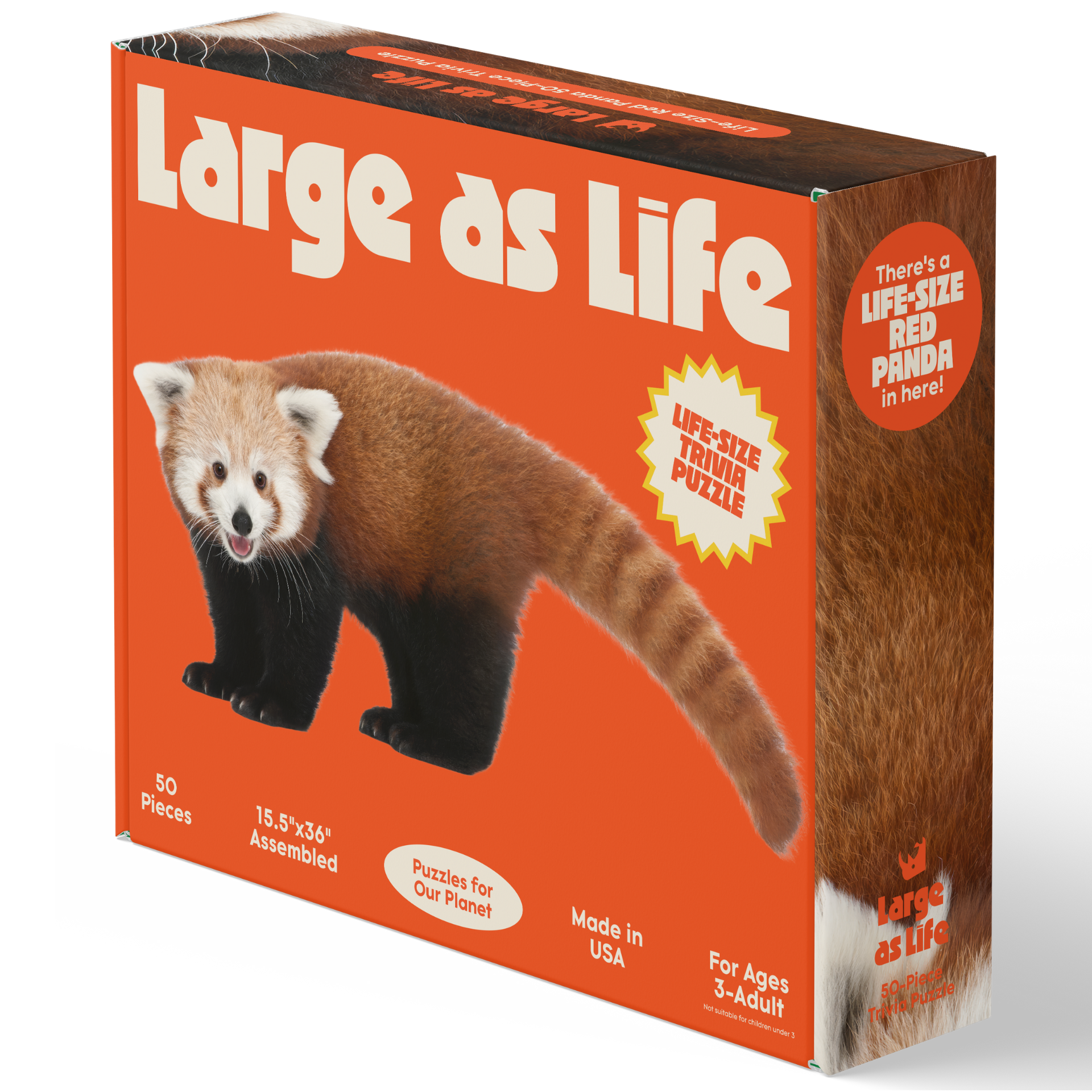 Red Panda Trivia Puzzle (50 Pieces)