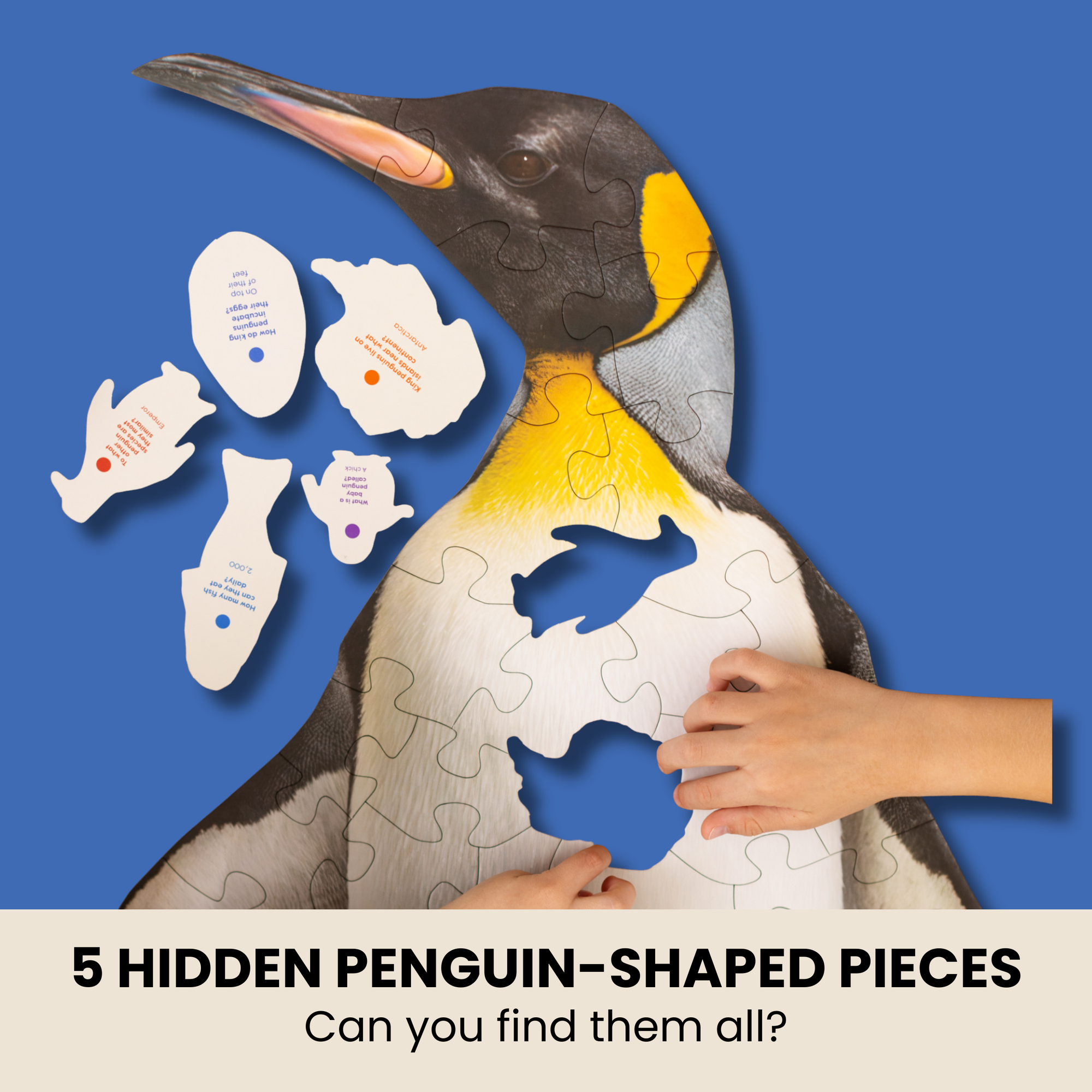 Penguin-shaped puzzle with hidden pieces against a blue background