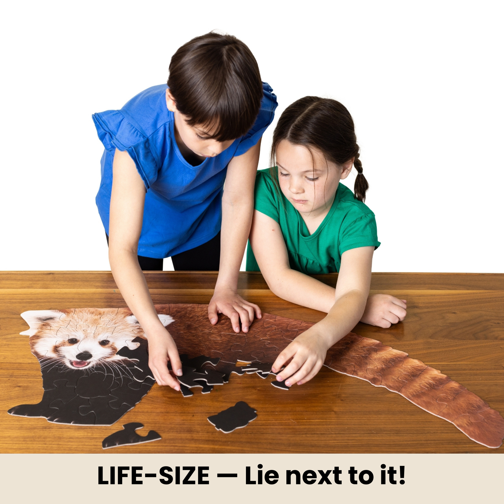 Two children working on a large red panda puzzle at a table.