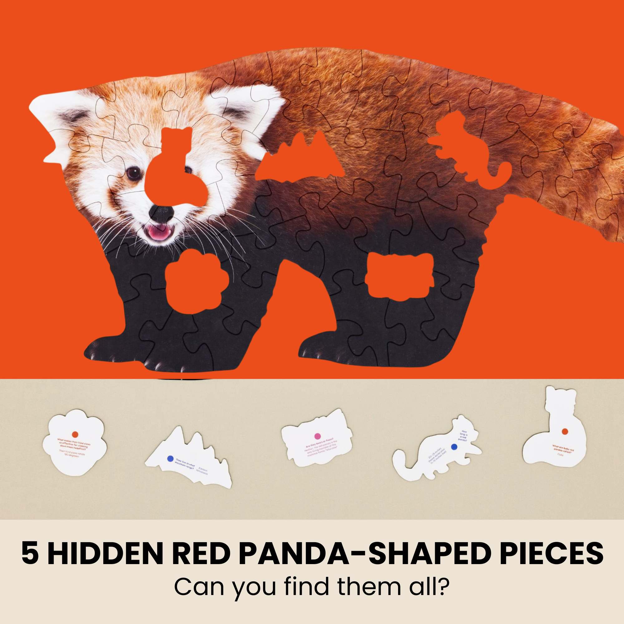 Red panda-shaped puzzle with hidden pieces on an orange background