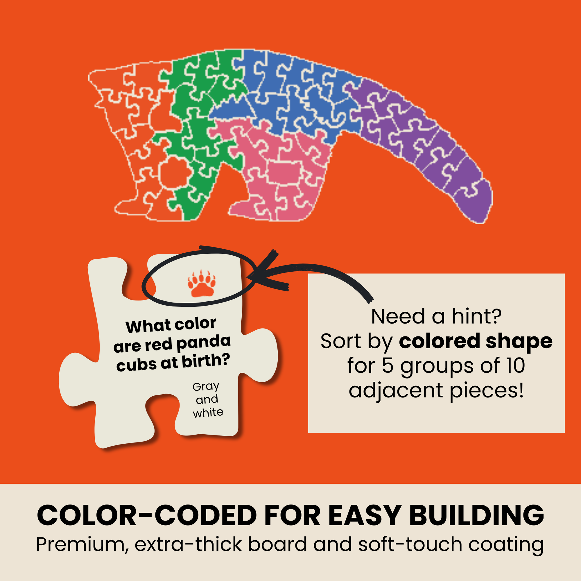 Color-coded puzzle with a red panda design on an orange background