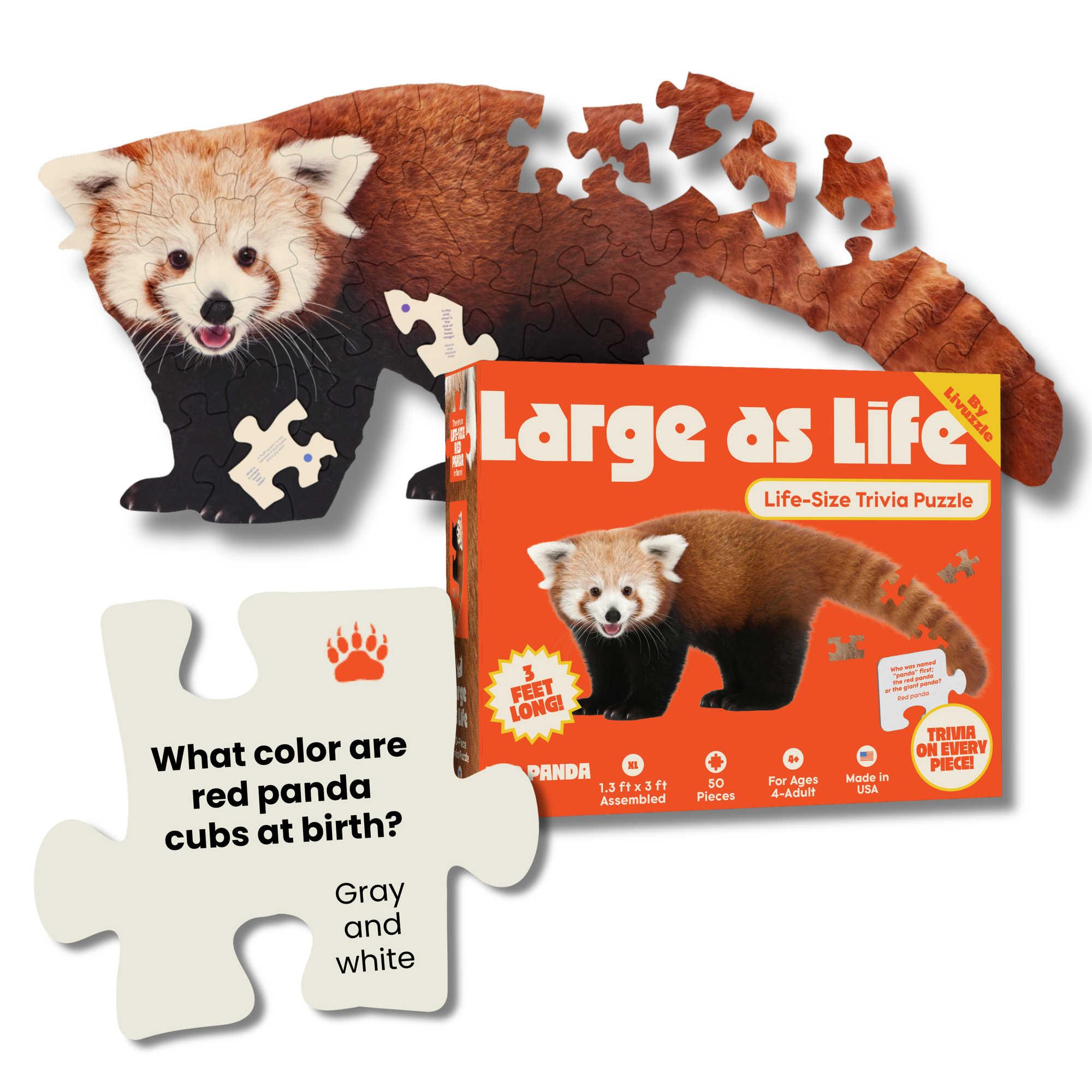 Red panda puzzle with packaging and a piece of the puzzle showing trivia.